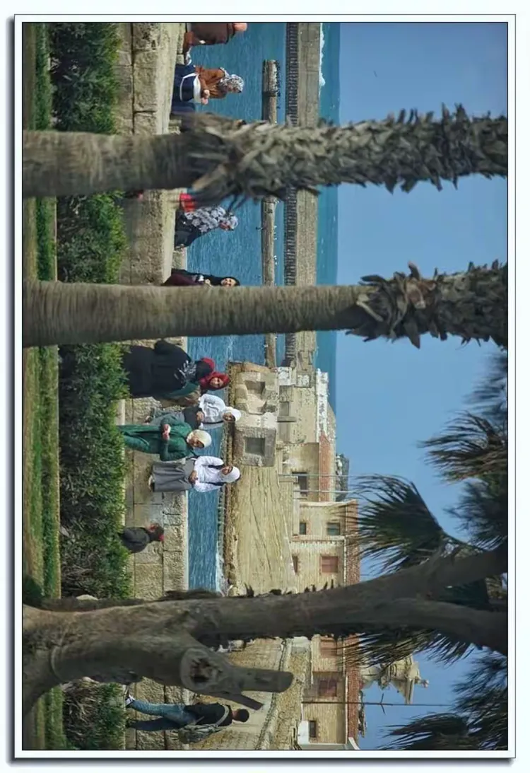 埃及名将在欧洲赛场大放异彩